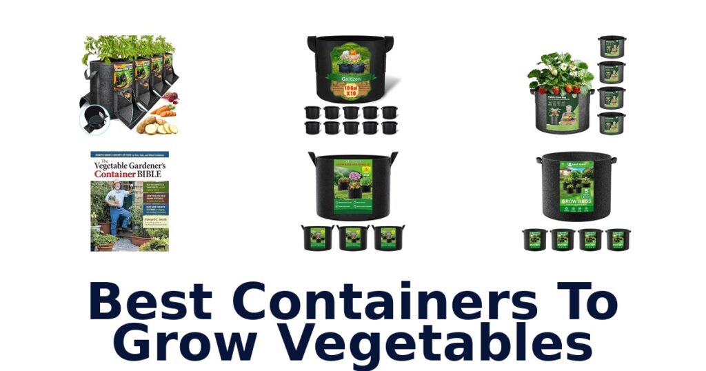 10 Best Containers to Grow Vegetables best containers to grow vegetables