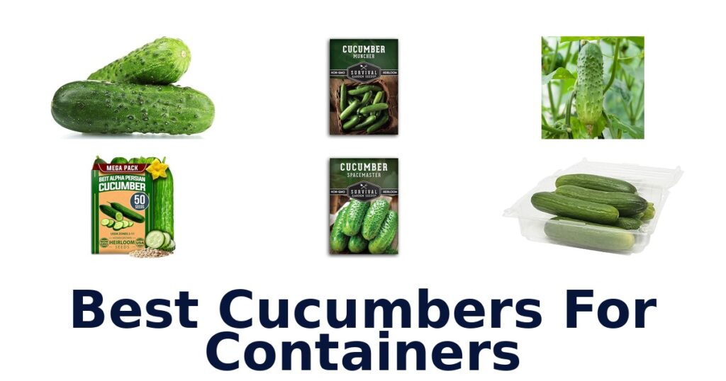Best Cucumbers for Containers: Top 10 Picks best cucumbers for containers