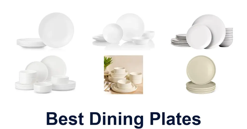 BEST Dining Plates: Top 10 Picks for Your Table best dining plates