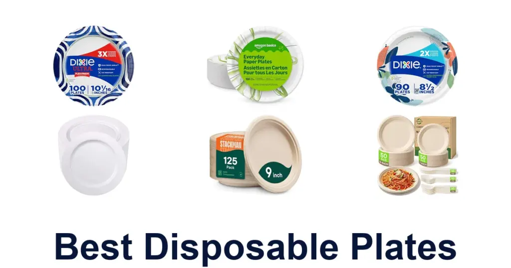 BEST Disposable Plates: Top 10 Picks for Any Event best disposable plates