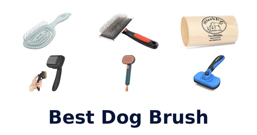 Best Dog Brushes: Top 10 Picks for a Shinier Coat best dog brush