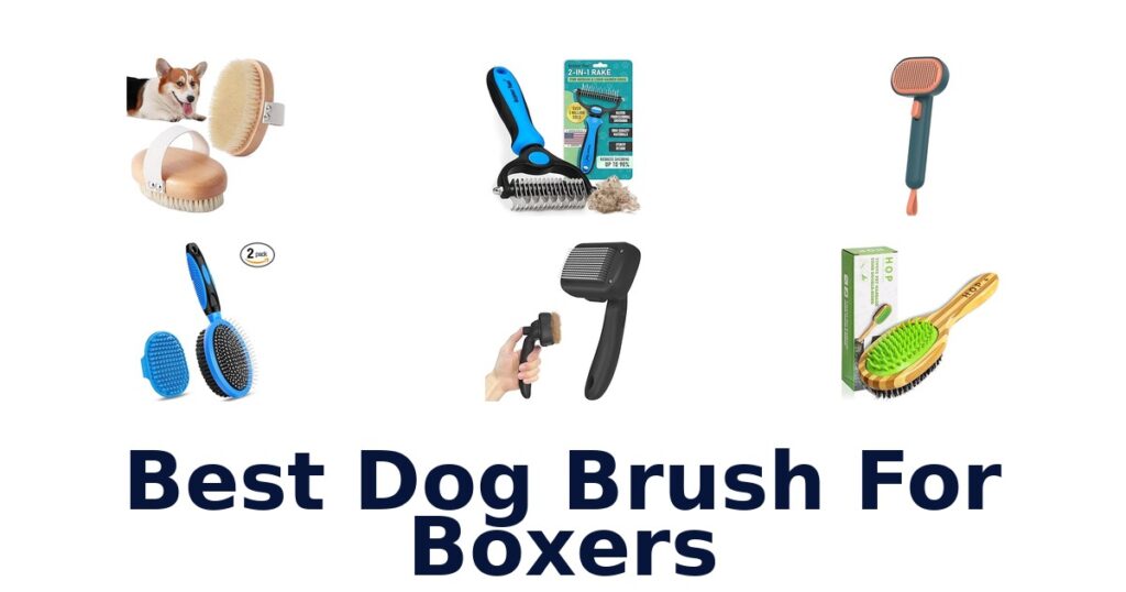 Best Dog Brushes for Boxers: Top 10 Picks best dog brush for boxers