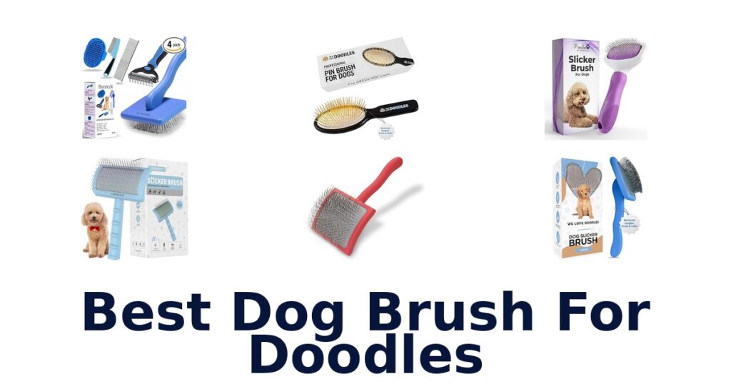 BEST Dog Brushes for Doodles: Top 10 Picks best dog brush for doodles