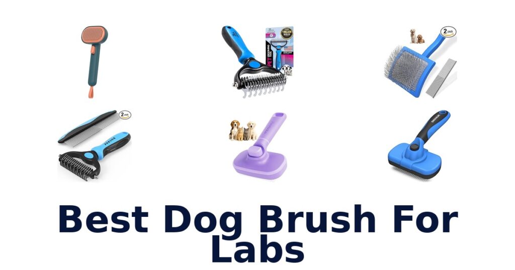 best dog brush for labs