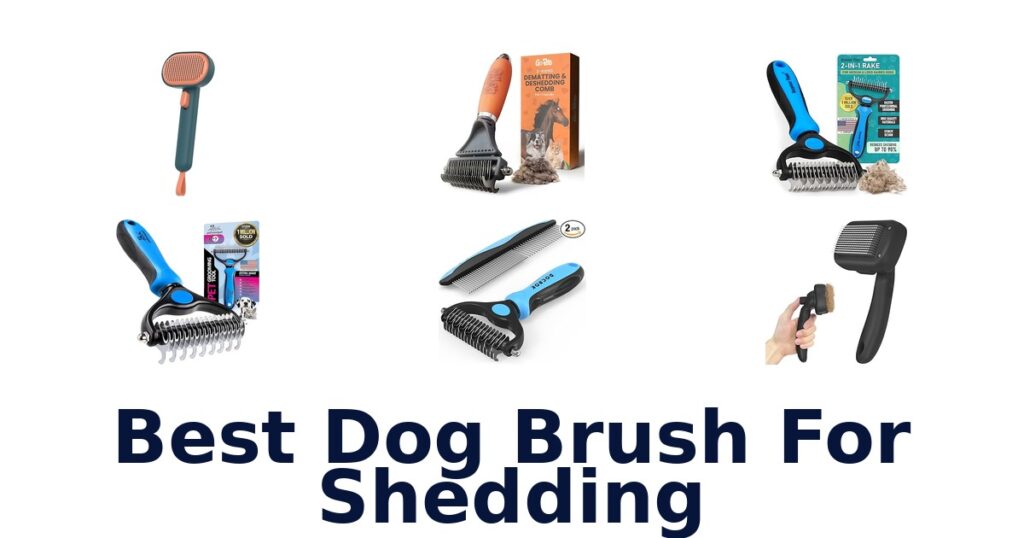 best dog brush for shedding