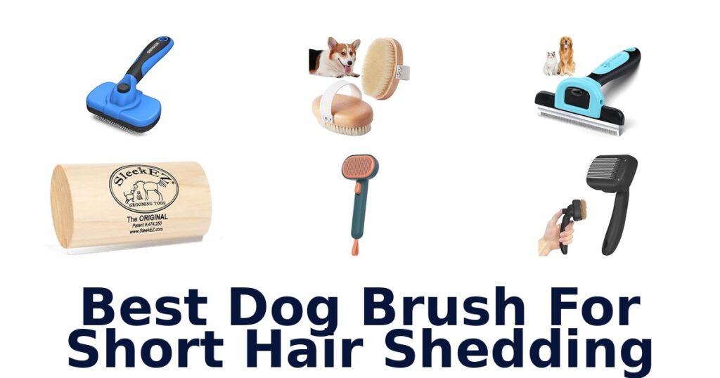 best dog brush for short hair shedding