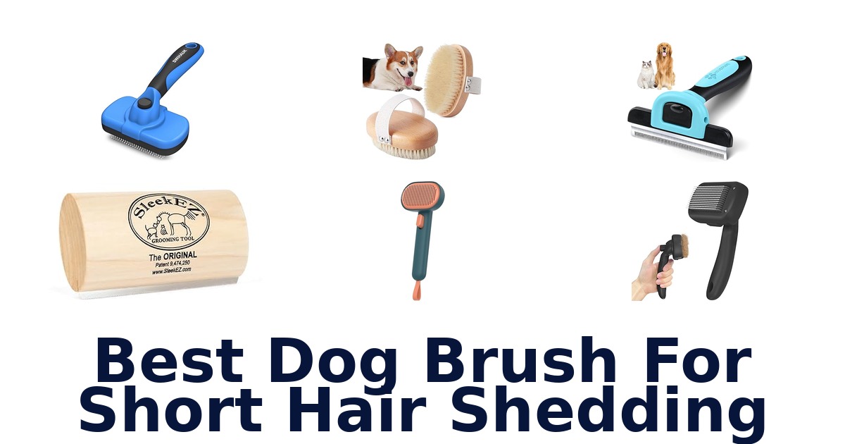 best dog brush for short hair shedding
