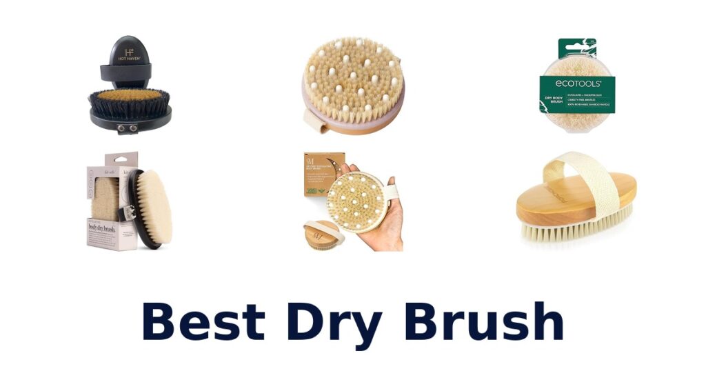 Best Dry Brushes: Top 10 Picks for Radiant Skin best dry brush