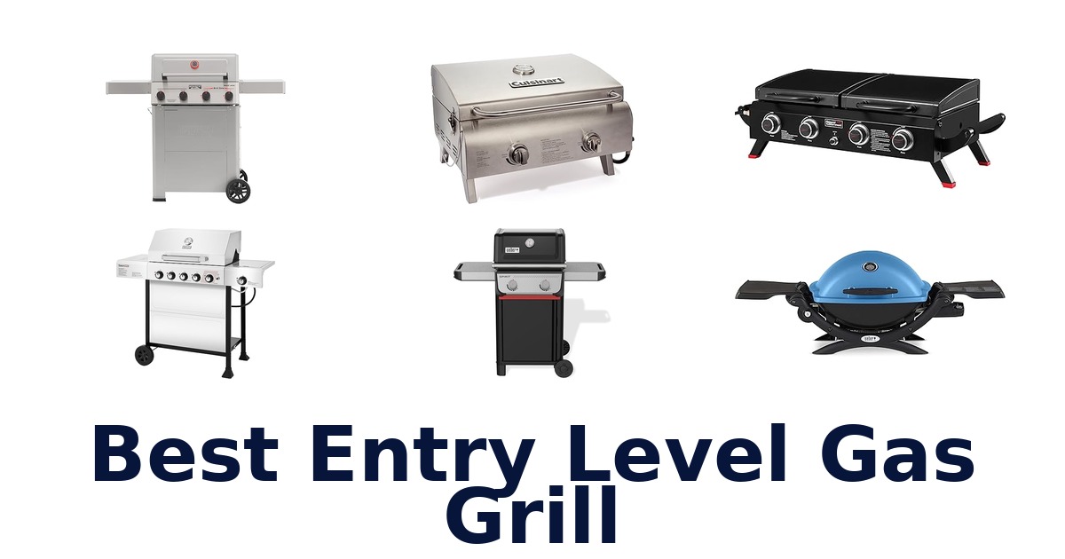 best entry level gas grill