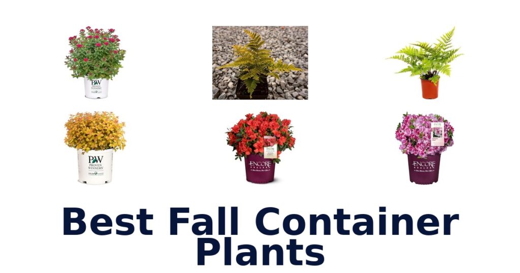 Best Fall Container Plants: Top 10 Picks best fall container plants