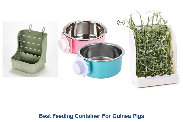 Best Feeding Containers for Guinea Pigs: Top Picks Best Feeding Container For Guinea Pigs
