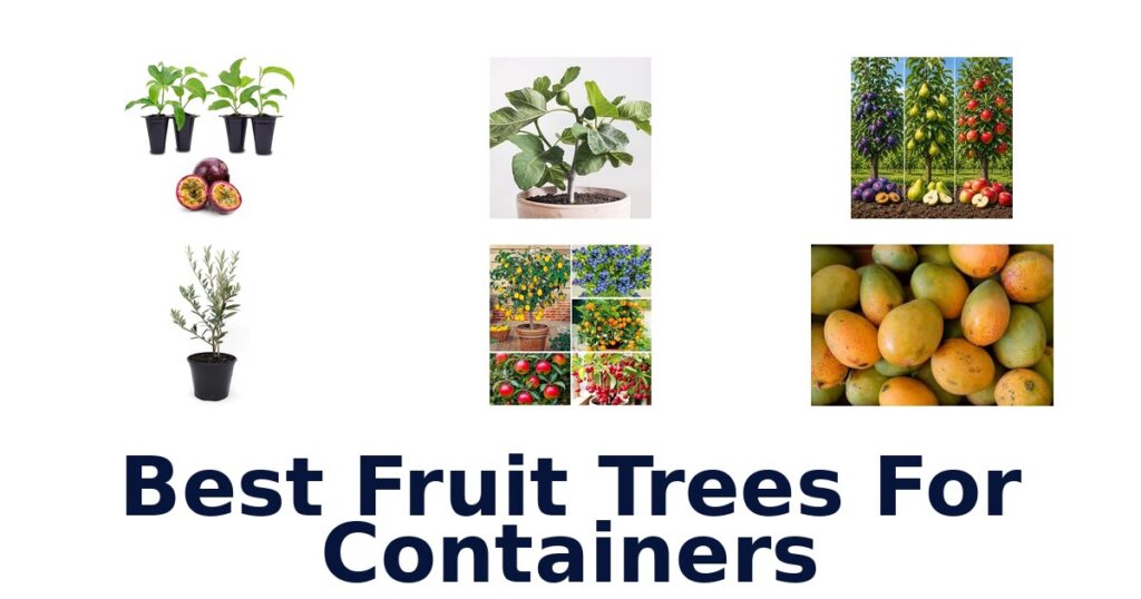 best fruit trees for containers