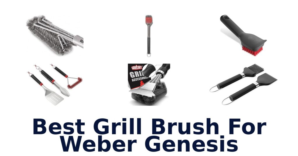 best grill brush for weber genesis