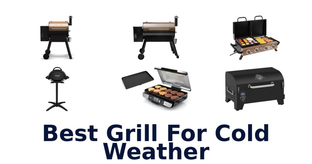 Best Grills for Cold Weather: Top 10 Picks best grill for cold weather