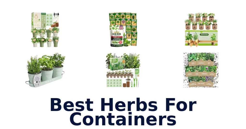 best herbs for containers