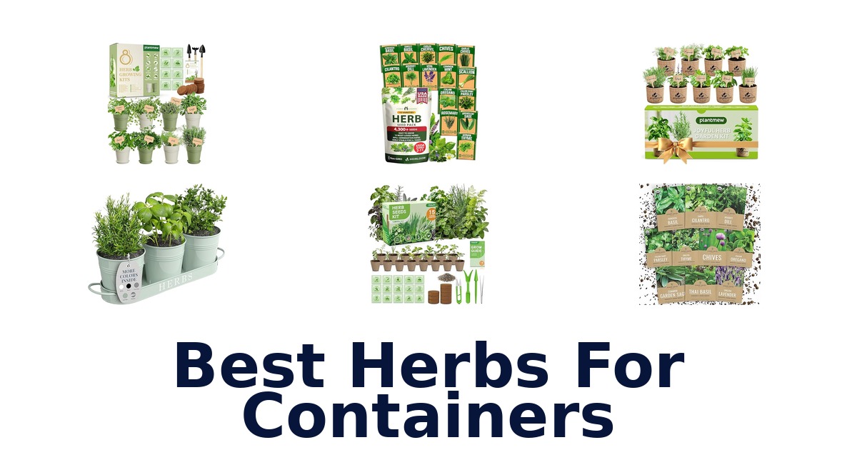 best herbs for containers