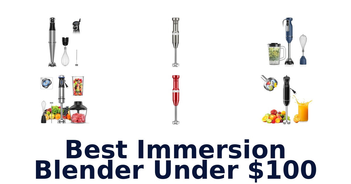 best immersion blender under $100