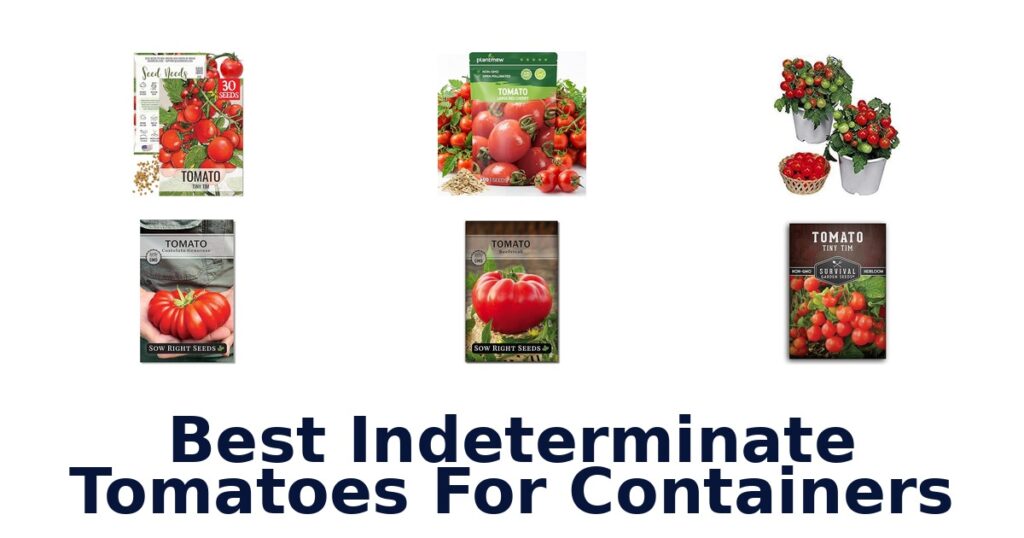 best indeterminate tomatoes for containers