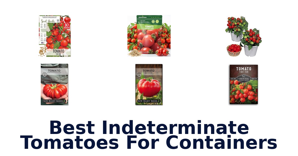 best indeterminate tomatoes for containers