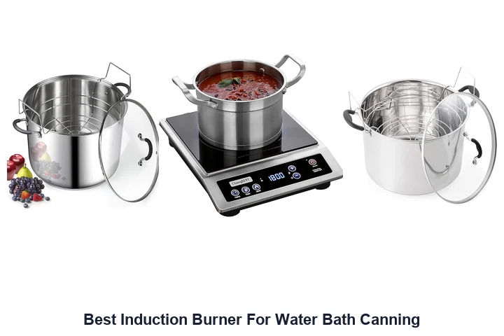 Best Induction Burner: Top Water Bath Canning Picks Best Induction Burner For Water Bath Canning