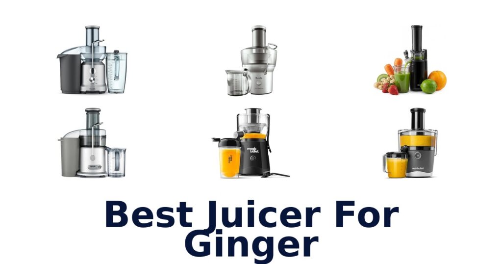 Best Juicer for Ginger: Top 10 Picks for Zesty Flavor best juicer for ginger
