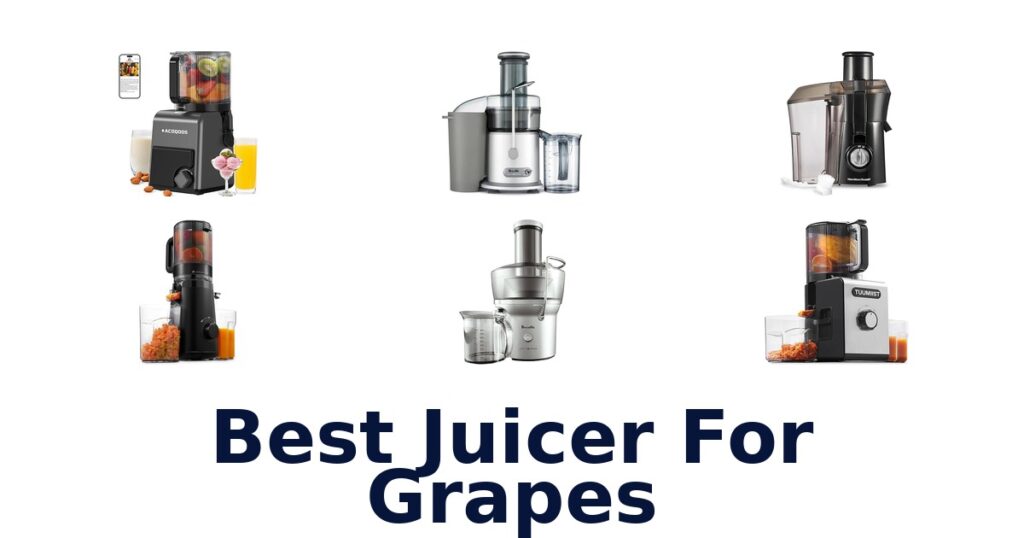 best juicer for grapes