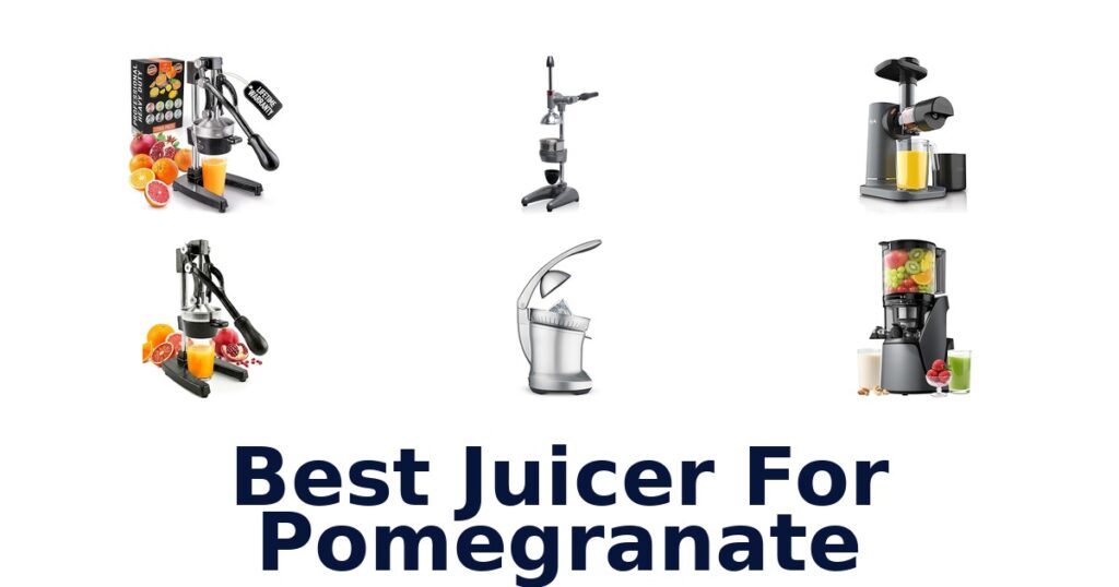 BEST Juicer for Pomegranate: 10 Top Picks best juicer for pomegranate