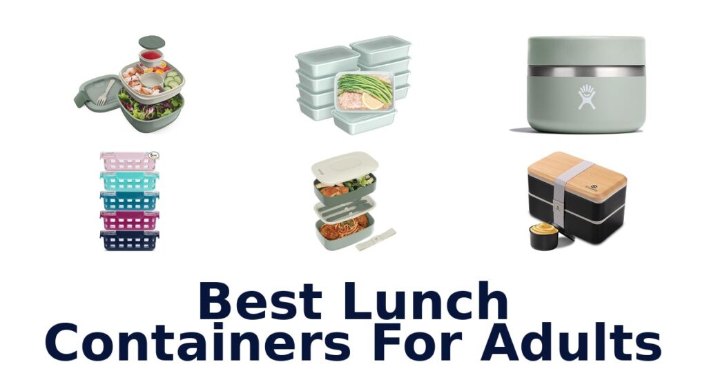 best lunch containers for adults