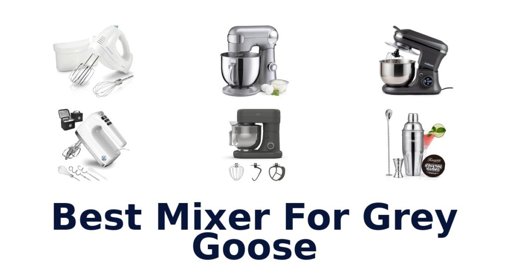 Best Mixers for Grey Goose: Top 10 Picks best mixer for grey goose
