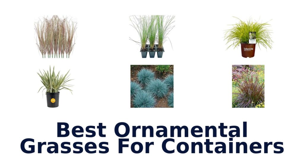 Best Ornamental Grasses for Containers: Top 10 Picks best ornamental grasses for containers