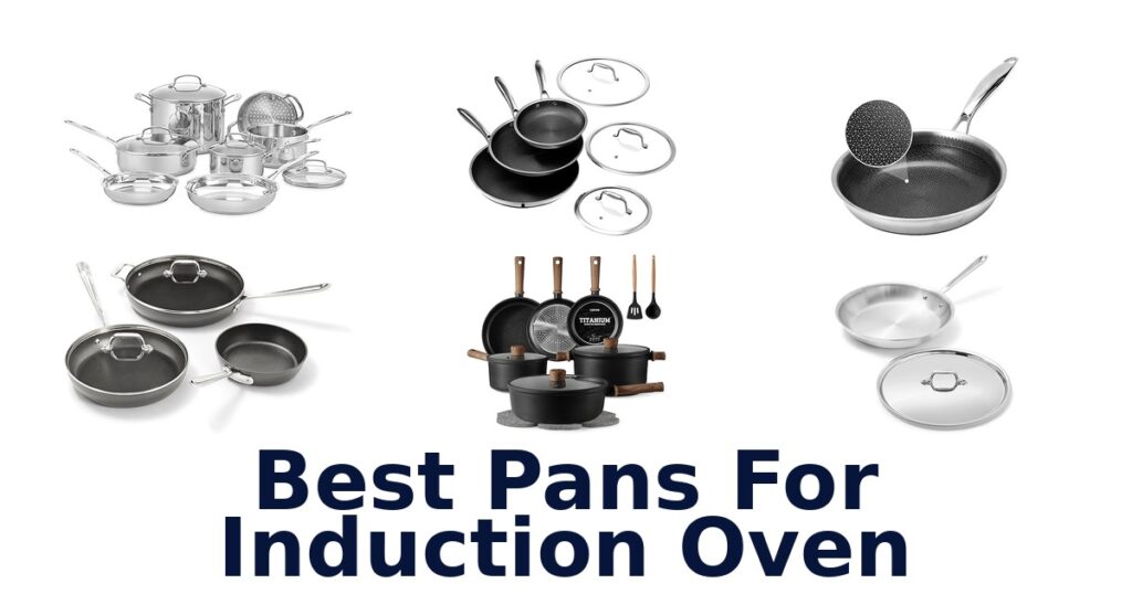 best pans for induction oven