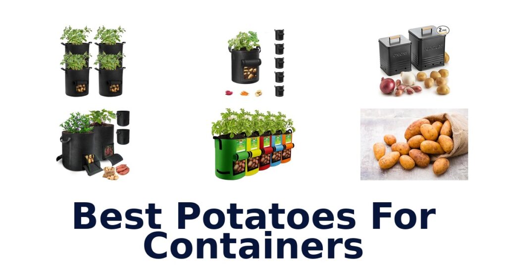BEST Potatoes for Containers: Top 10 Picks! best potatoes for containers