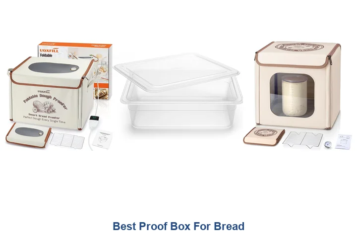 Best Proof Box For Bread: Top Picks for 2026 Best Proof Box For Bread