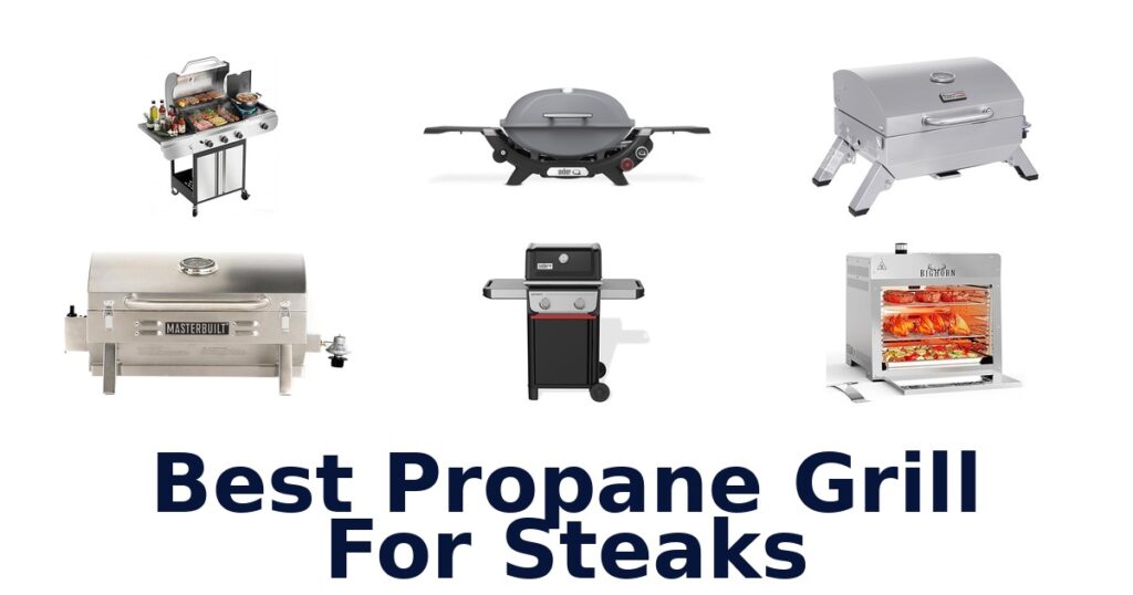 BEST Propane Grills for Steaks: Top 10 Picks best propane grill for steaks