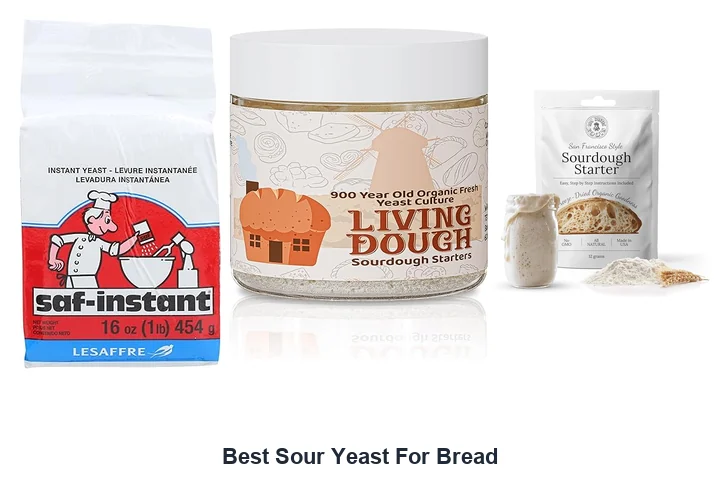 Best Sour Yeast for Bread: Top Picks Now Best Sour Yeast For Bread