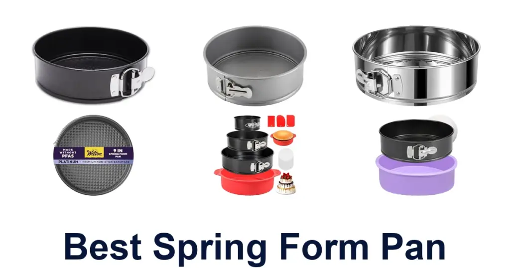 Best Springform Pans: Top 10 Picks best spring form pan