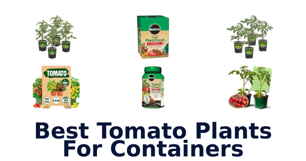 best tomato plants for containers