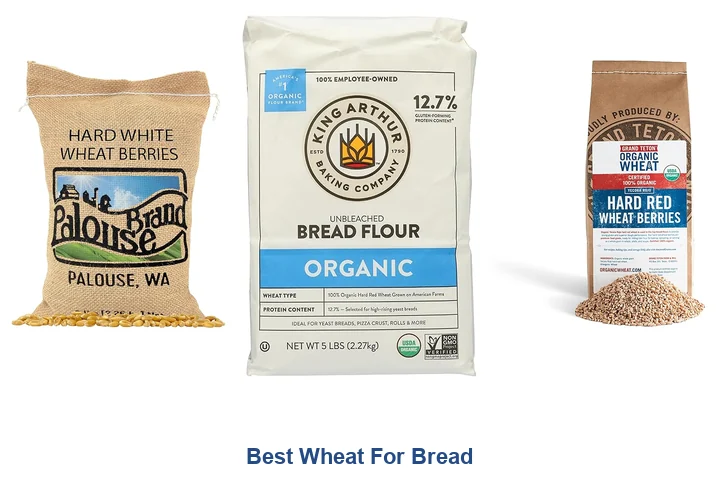 Best Wheat For Bread: Top Picks Now Best Wheat For Bread