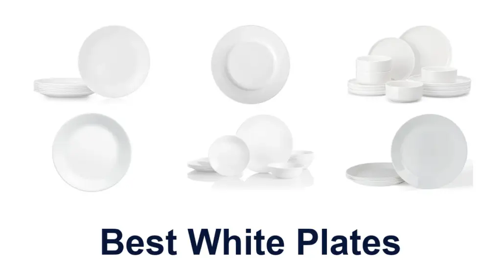 BEST White Plates: Top 10 Picks for Your Table best white plates