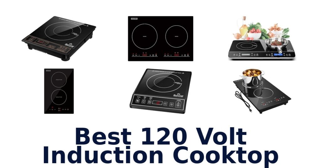 best 120 volt induction cooktop