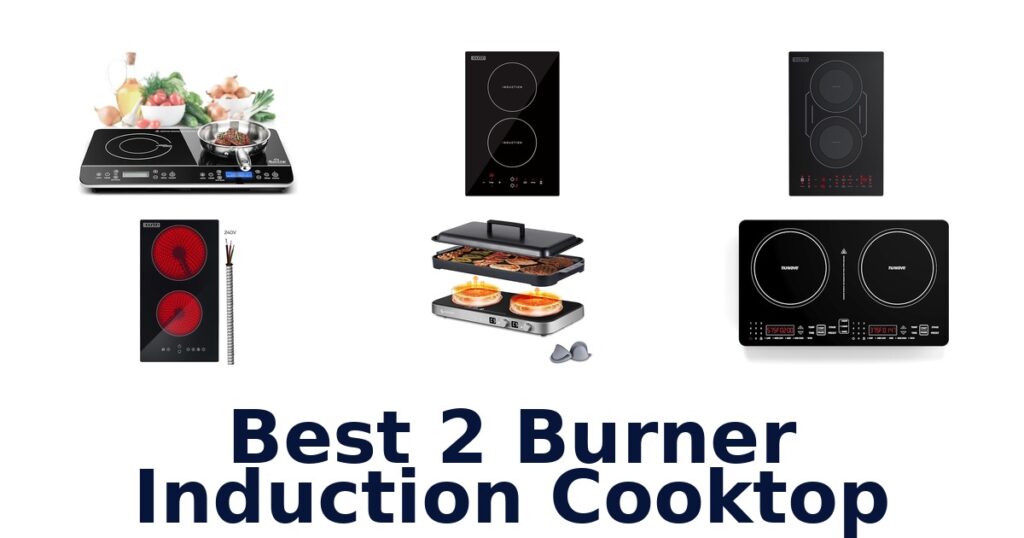 best 2 burner induction cooktop