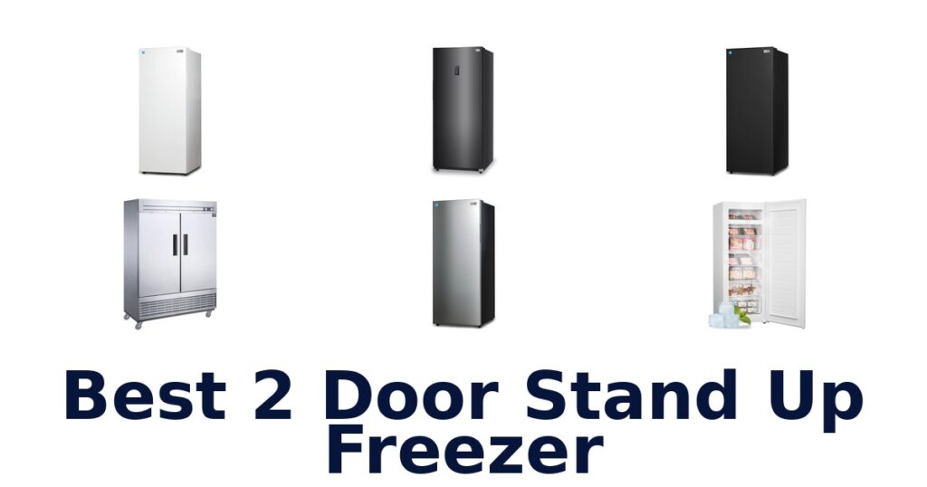 Best 2 Door Stand Up Freezer Options for You best 2 door stand up freezer