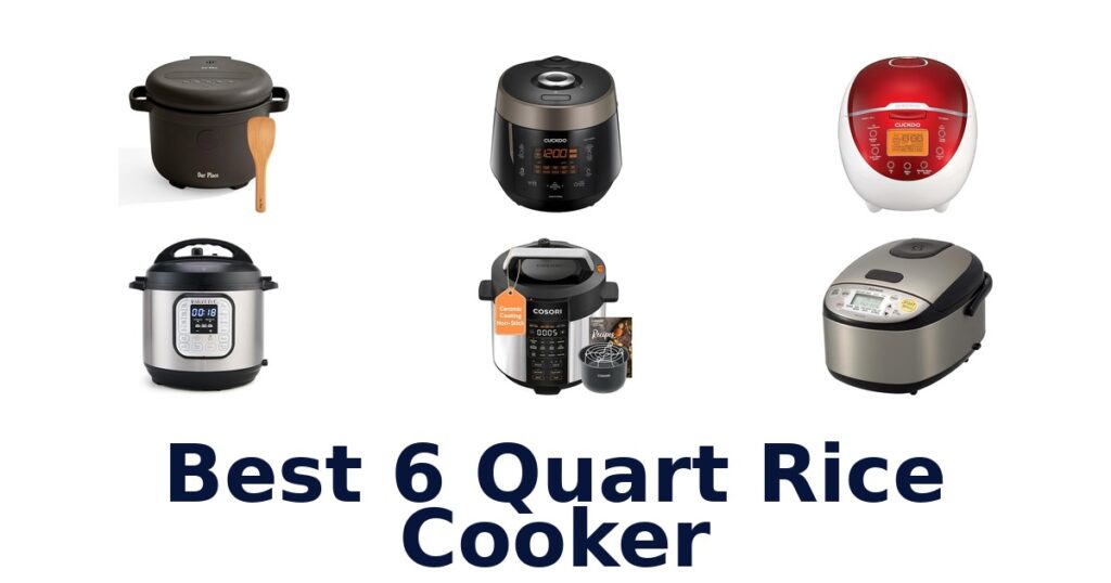best 6 quart rice cooker
