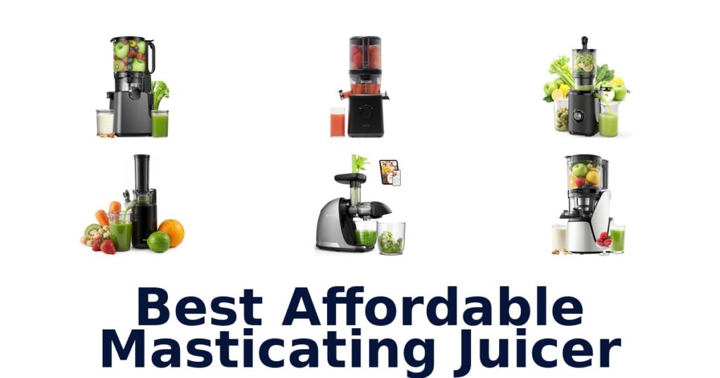 best affordable masticating juicer