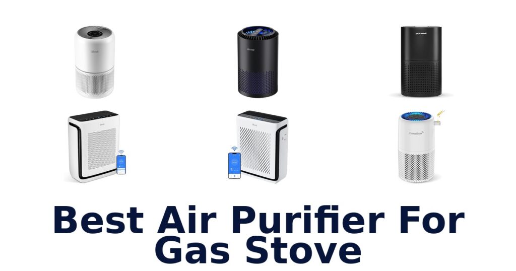 Best Air Purifiers for Gas Stove Smoke (Top 10) best air purifier for gas stove