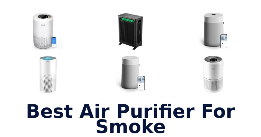 BEST Air Purifier for Smoke: Top 10 Picks best air purifier for smoke