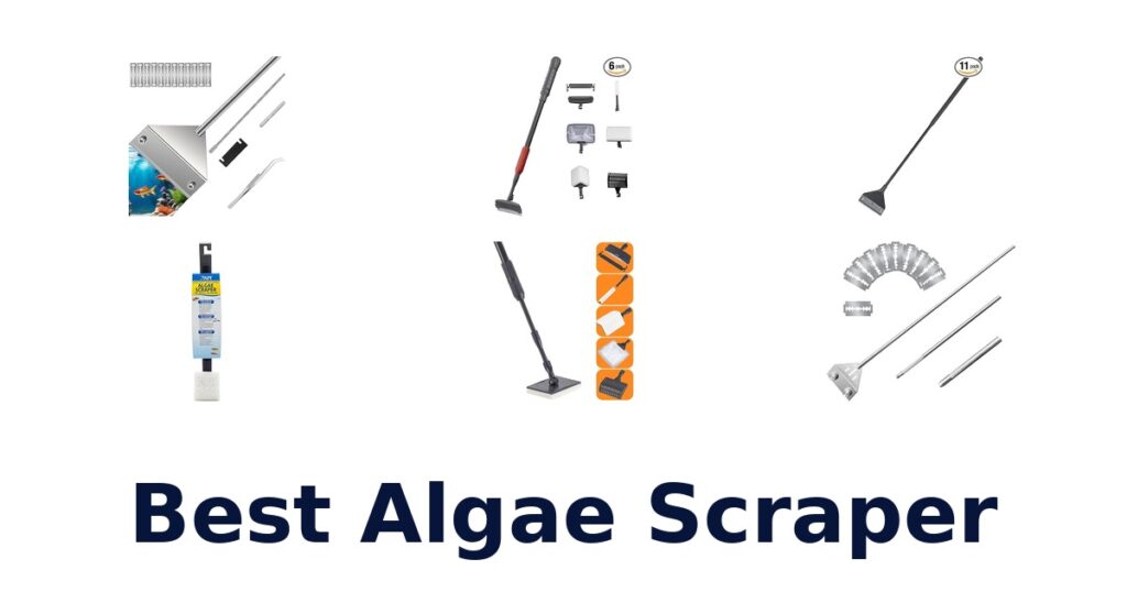 best algae scraper