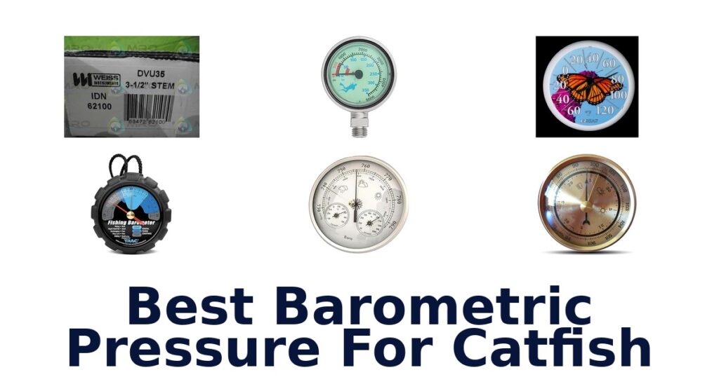 Best Catfish Barometric Pressure: Top 10 Picks best barometric pressure for catfish