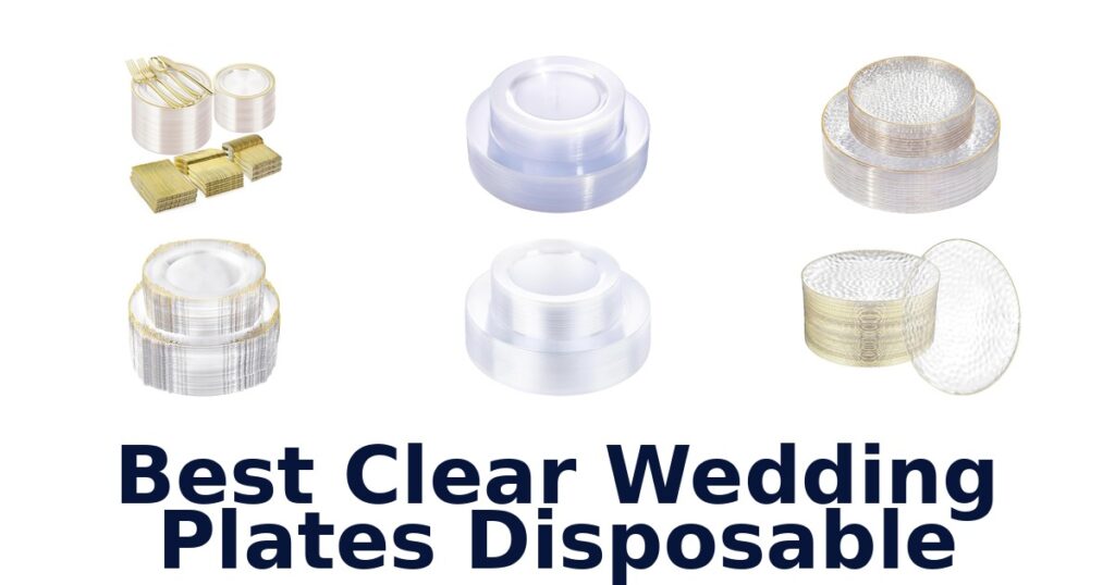 best clear wedding plates disposable