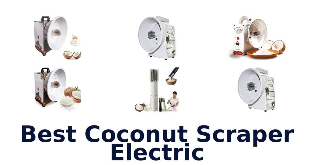 best coconut scraper electric
